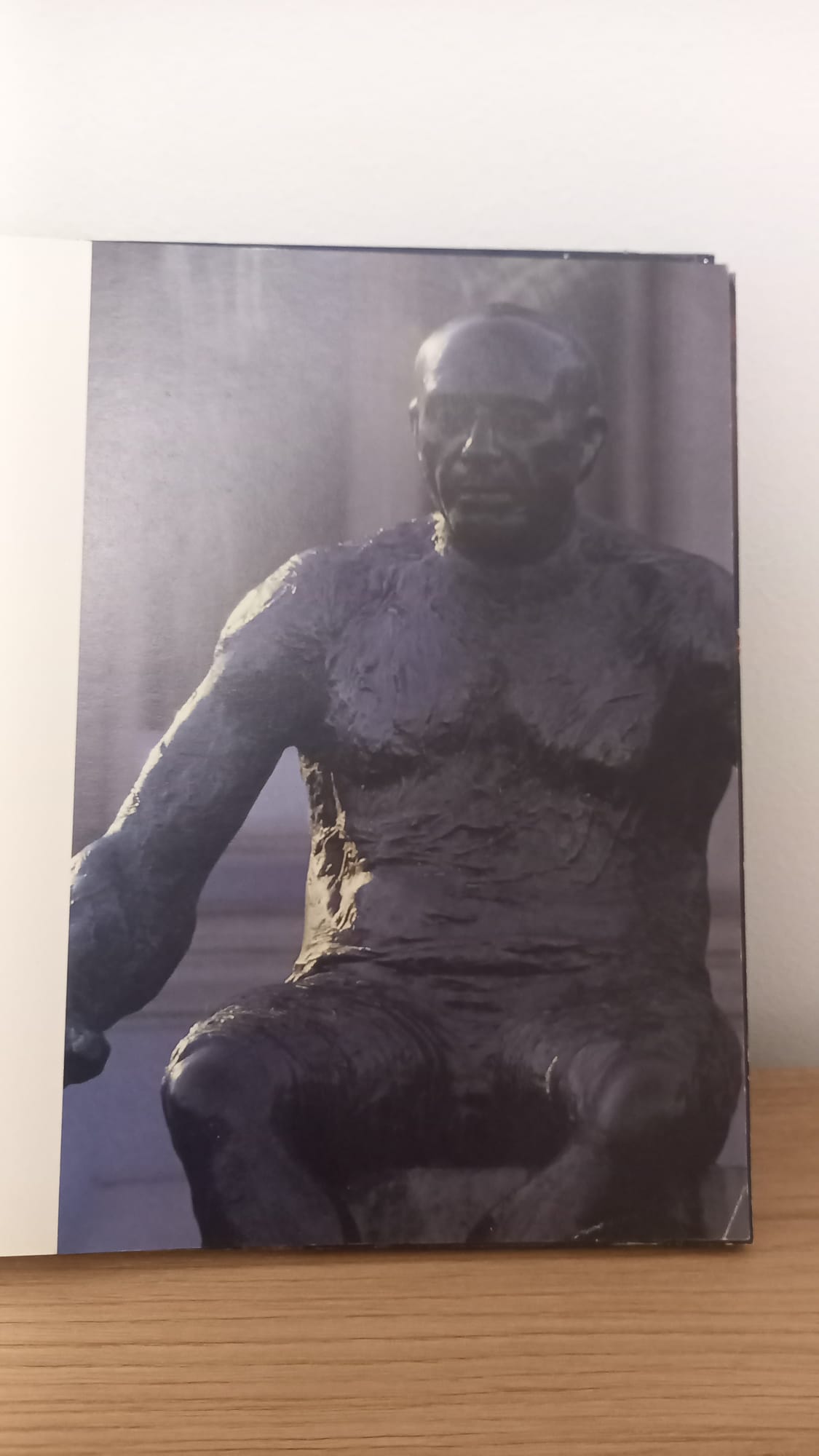FOTOMONOGRAFIJA Marin Topić 1988, fotografija 2