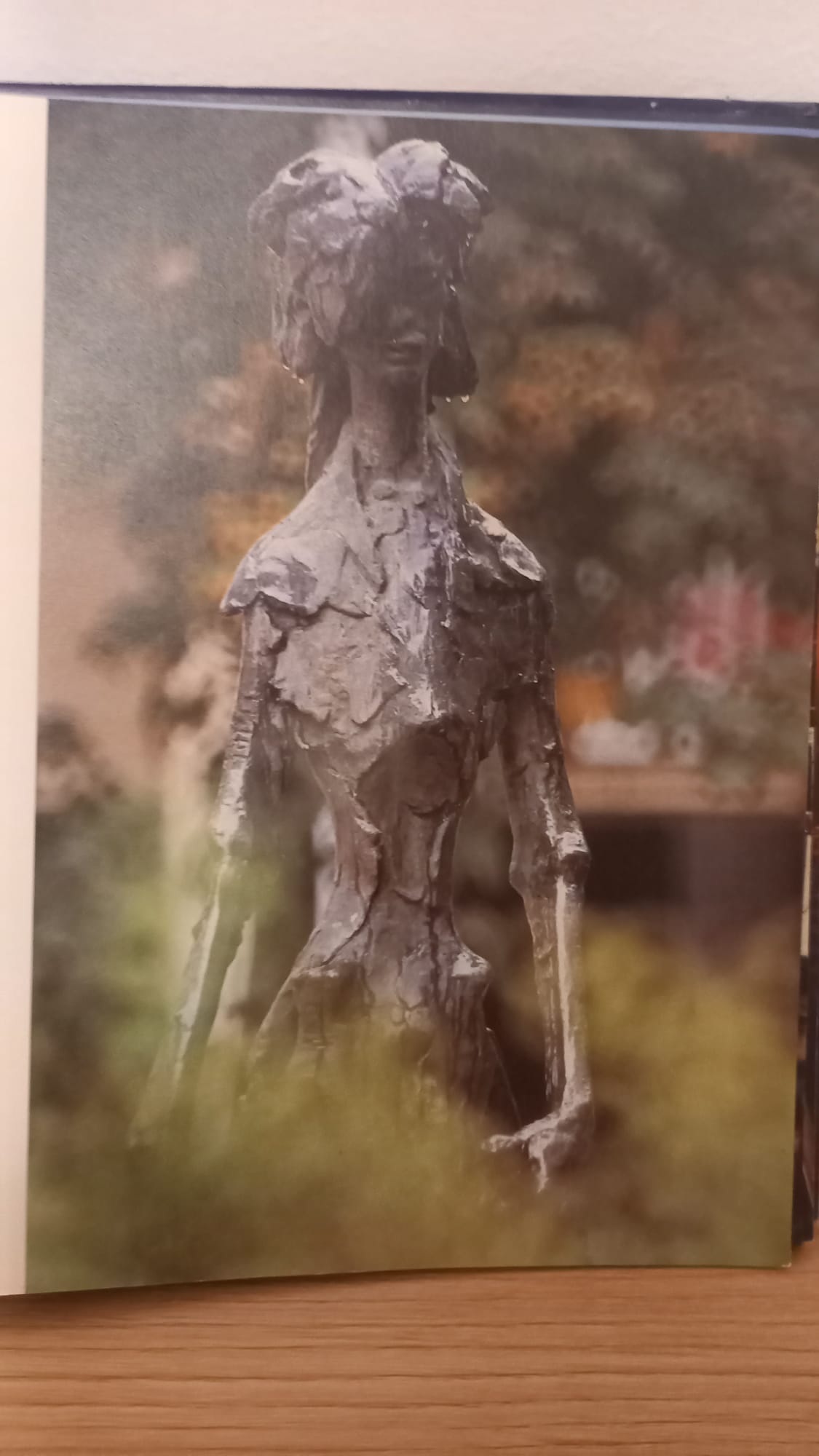 FOTOMONOGRAFIJA Marin Topić 1988, fotografija 3